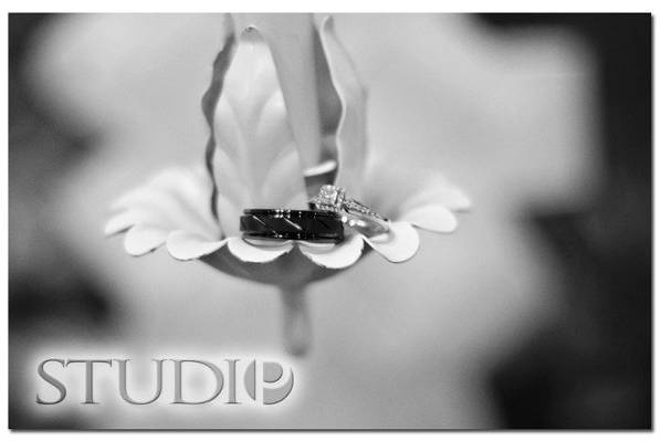 Studio P Photography