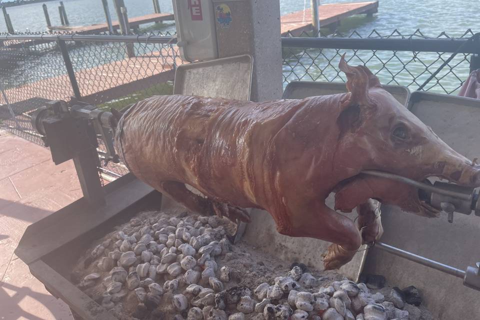 Pig roast