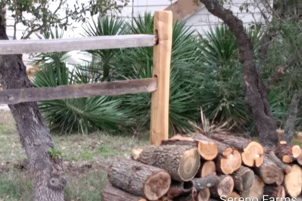 Logs ready to burn