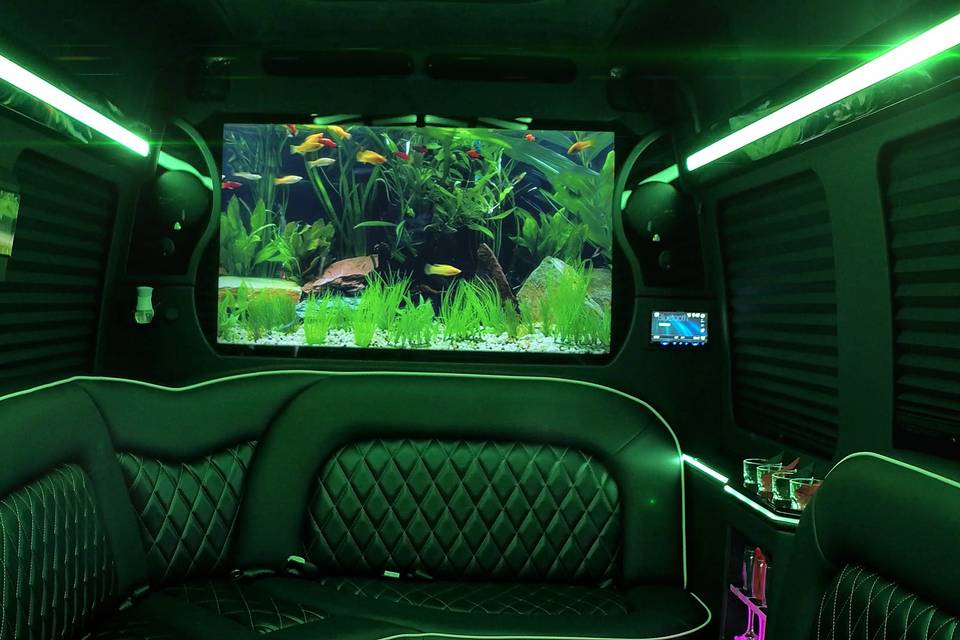 #Miamipartybus