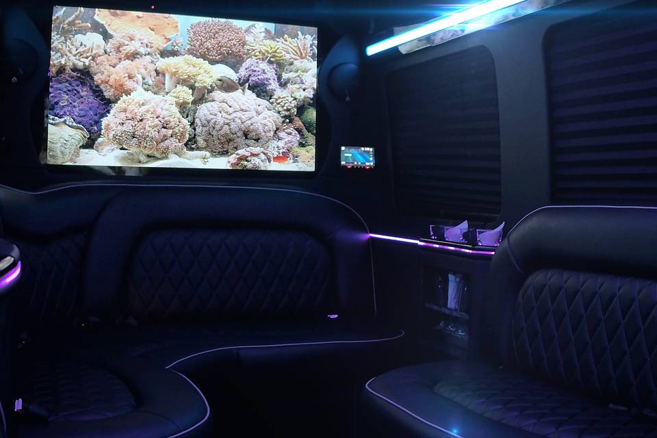 #Miamipartybus