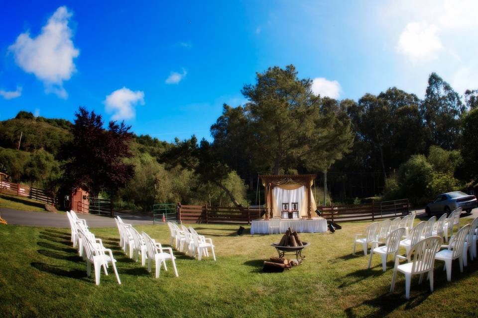 Reception table and floral decor