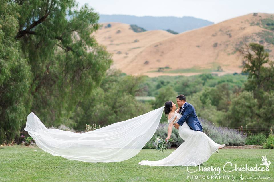 Grogan Ceremony Lawn