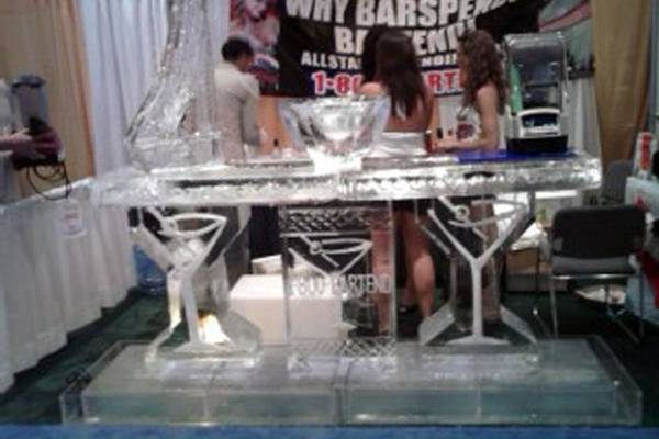 Ice Sculpture Pro