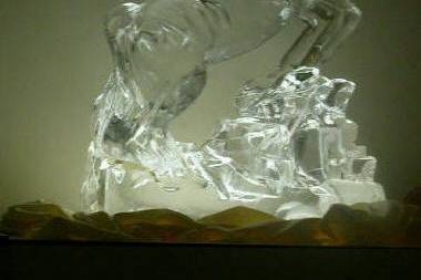 Ice Sculpture Pro