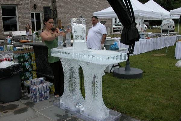 Ice Sculpture Pro