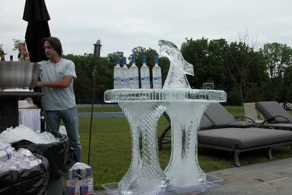 Ice Sculpture Pro