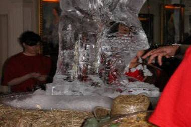 Ice Sculpture Pro