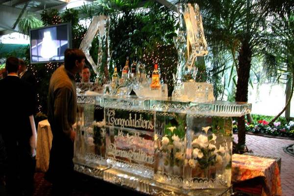 Ice Sculpture Pro