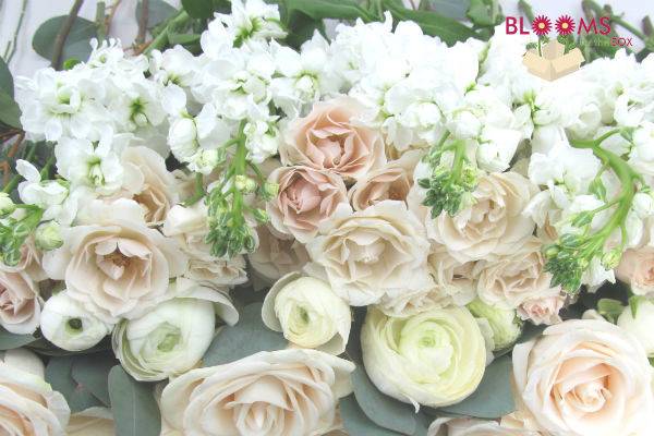 Rose flower arrangement