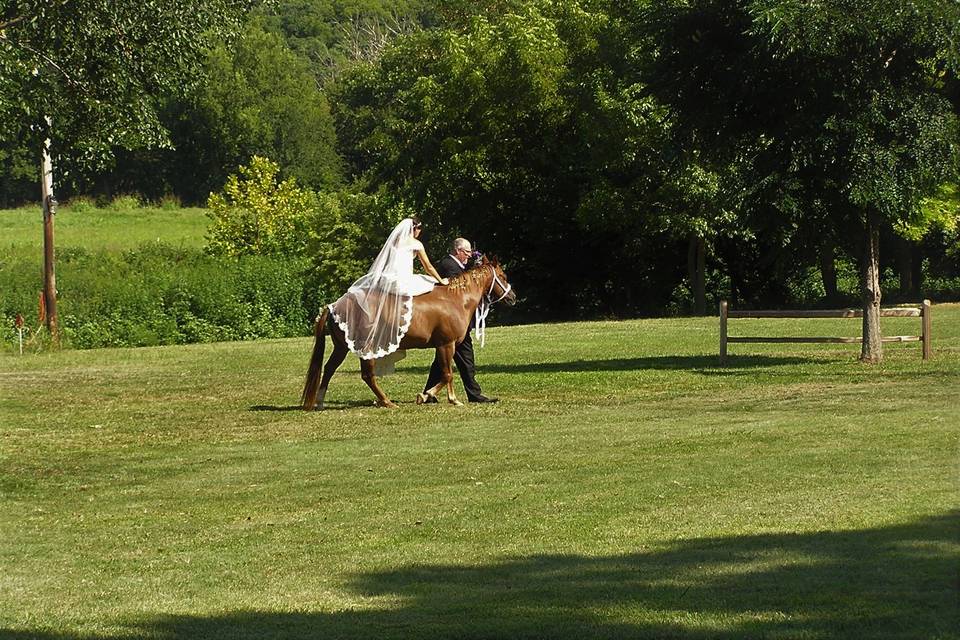 Horseback entrance