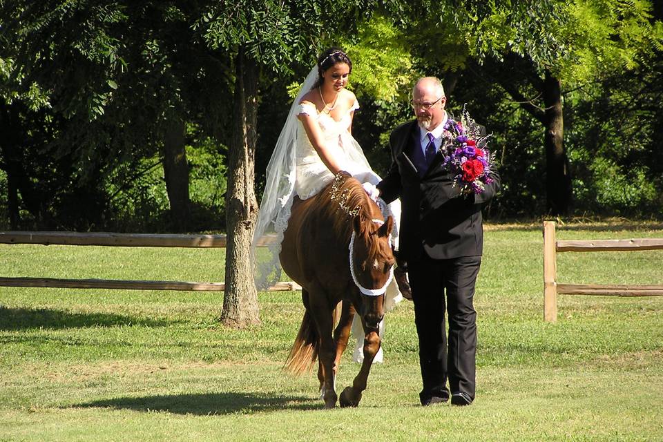 Here comes the bride