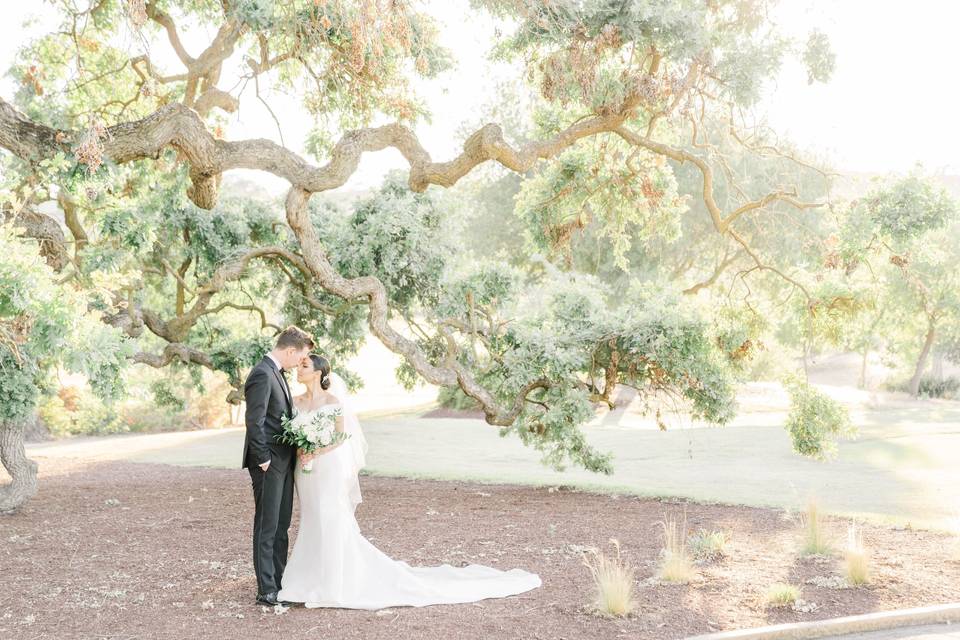 Mr & Mrs Portraits