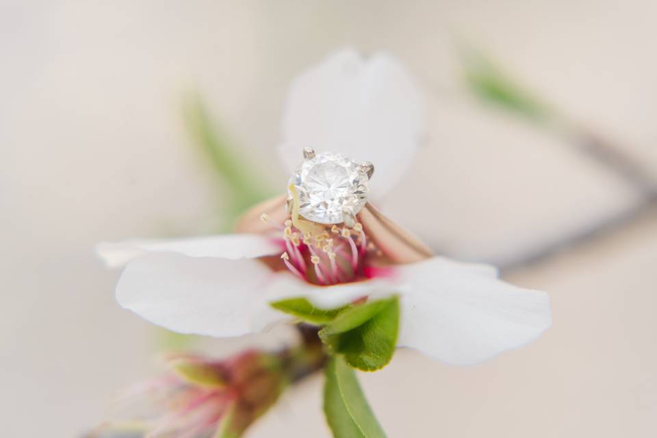 Ring Shot
