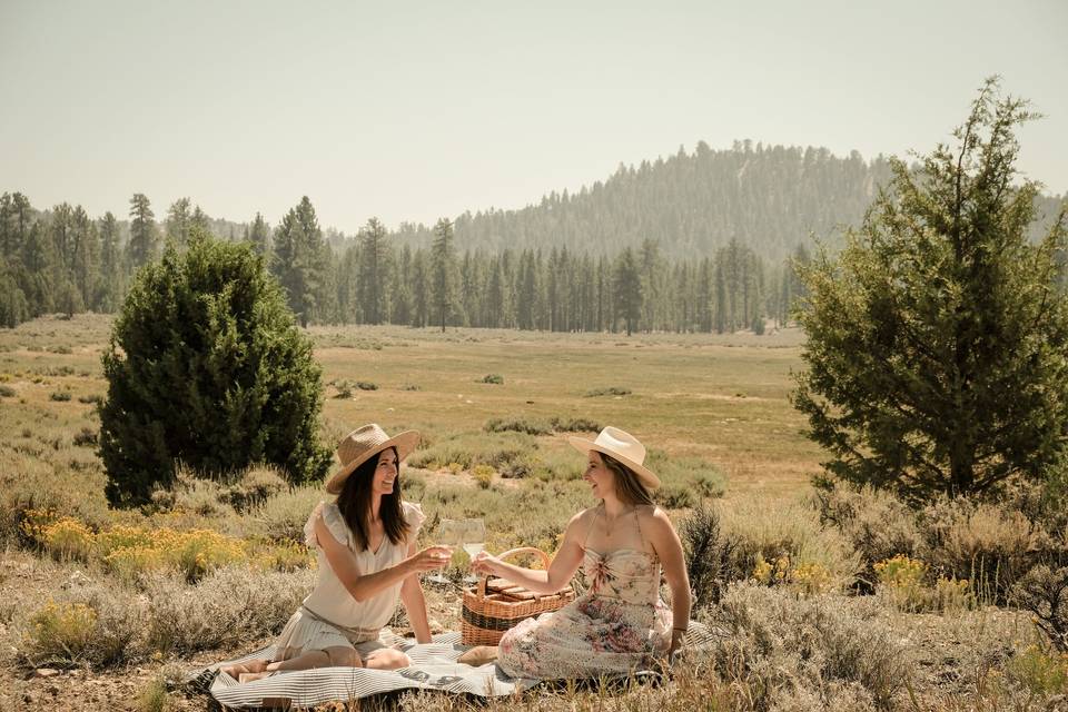 Picnic toast