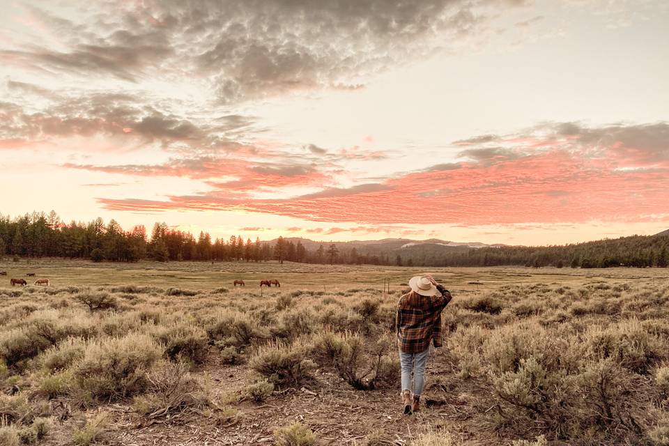 Meadow stroll