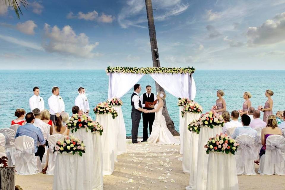 Elegant Affair by Design