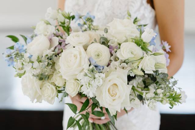 Bright Eyed Blooms