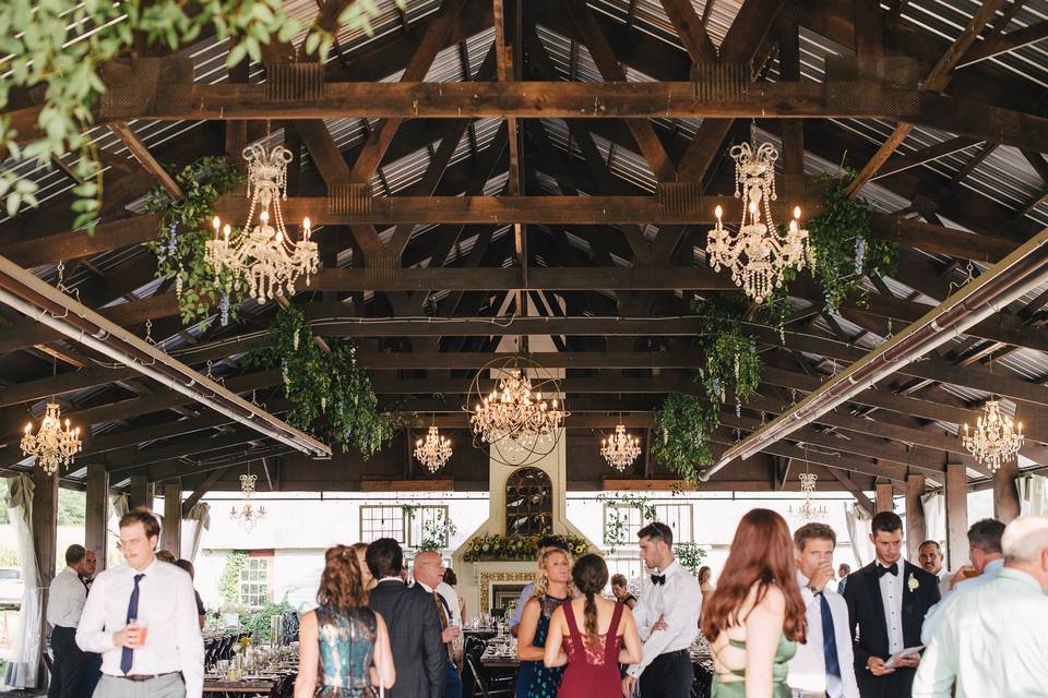 Ceiling greenery