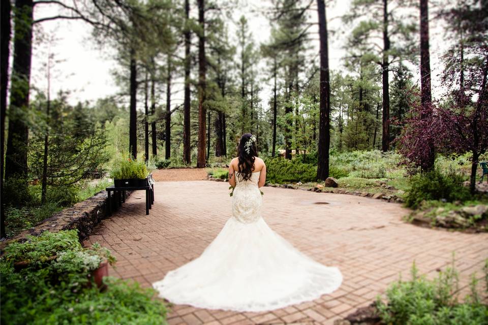 Endless Backdrops