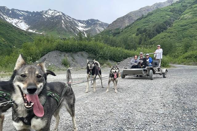 Alaska Dogsled