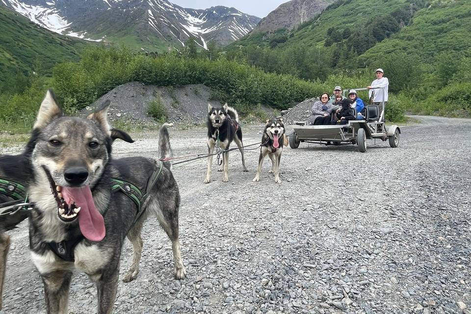 Alaska Dogsled