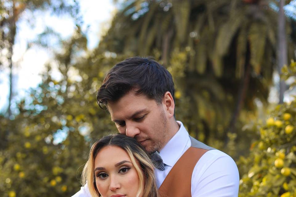 Embrace