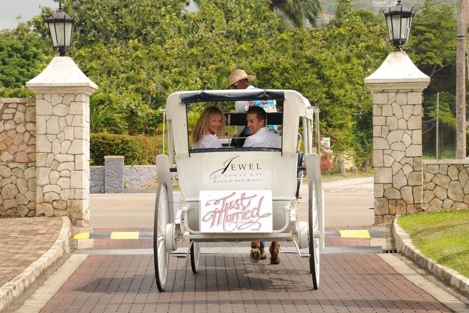 Horse and buggy just married