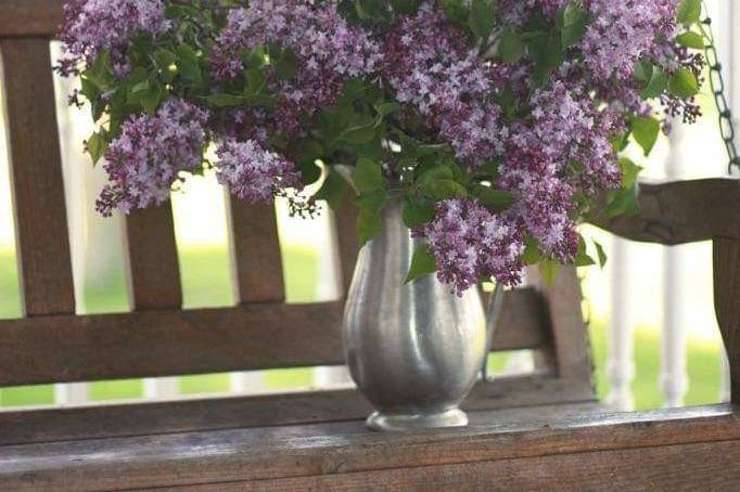 Simple lilacs