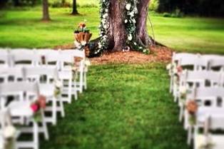 Floral display on tree