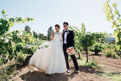 Couple in a vineyard