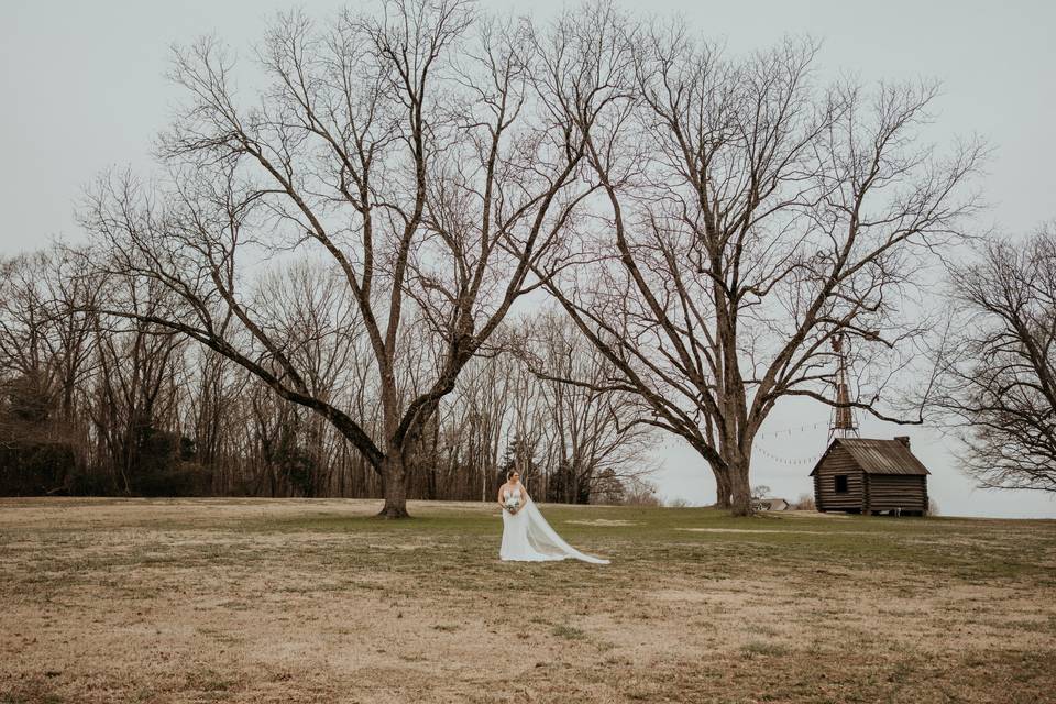 Bridal Portraits
