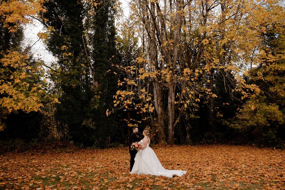 Autumn