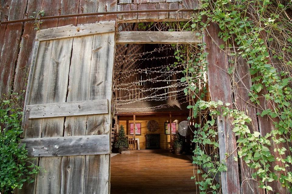 A peak inside the barn