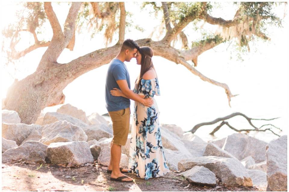 Bluebell Photography