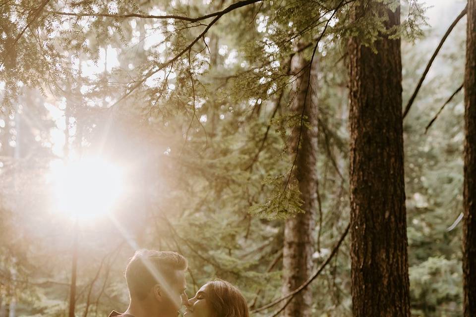 Engagement in the woods