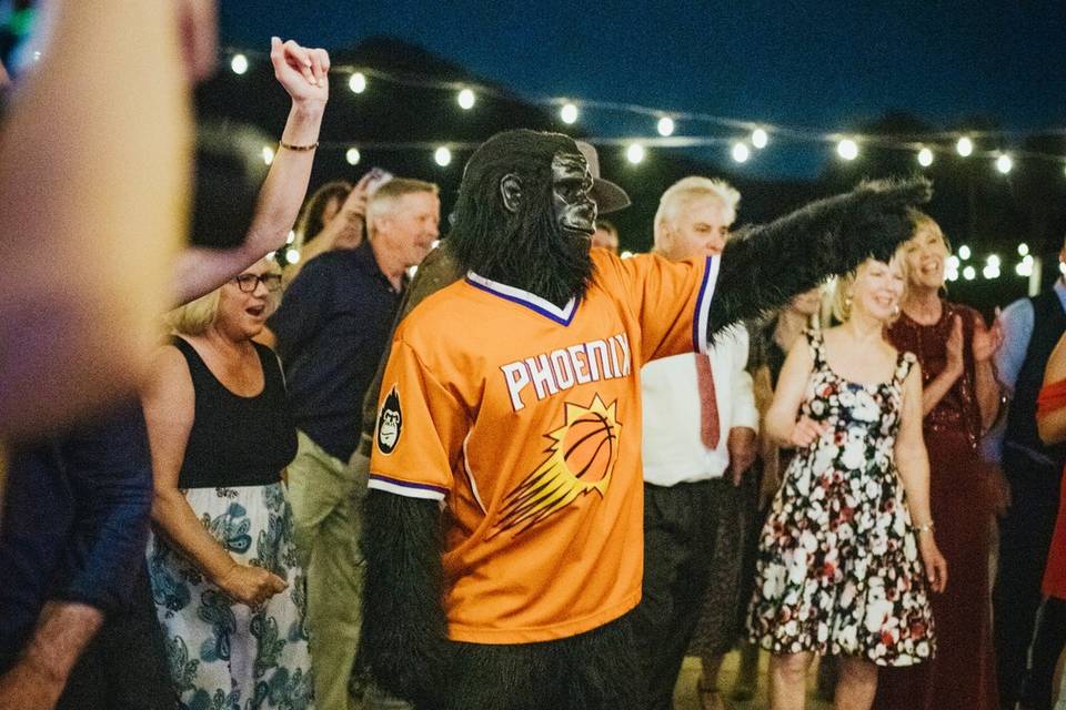 Suns gorilla