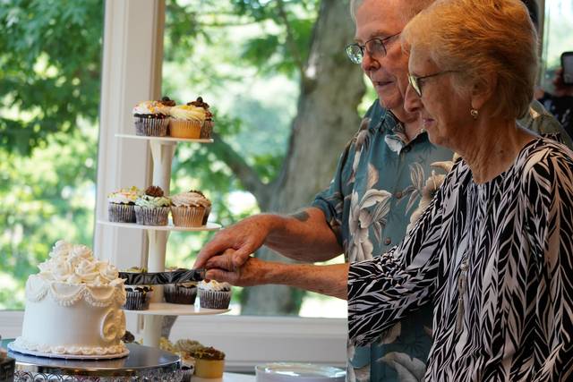 Cake cutting close up