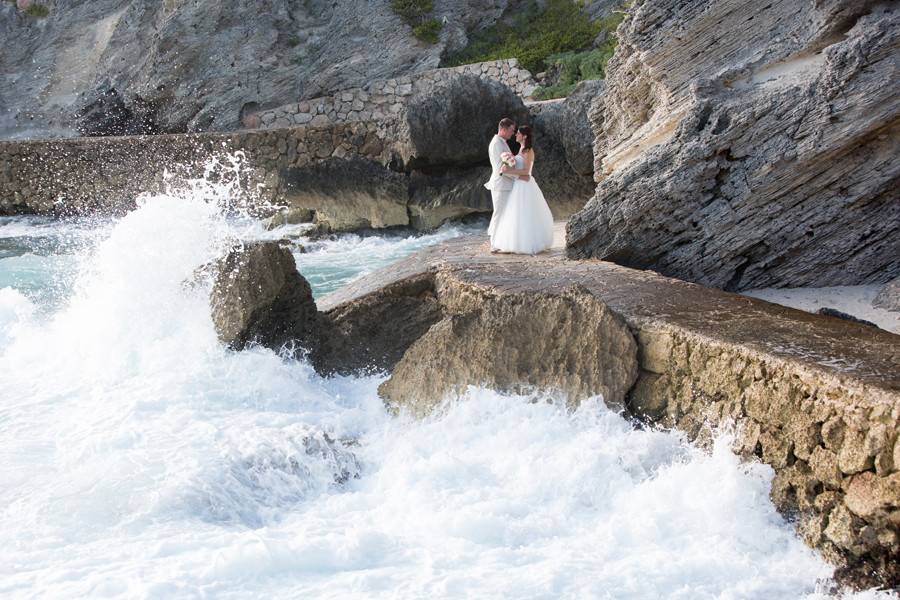 Susan Pacek Photography