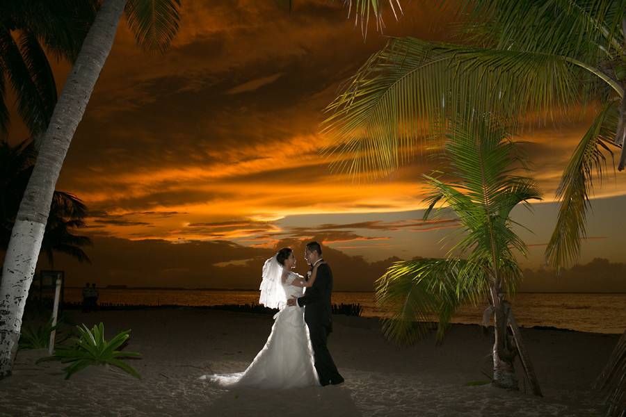 Susan Pacek Photography