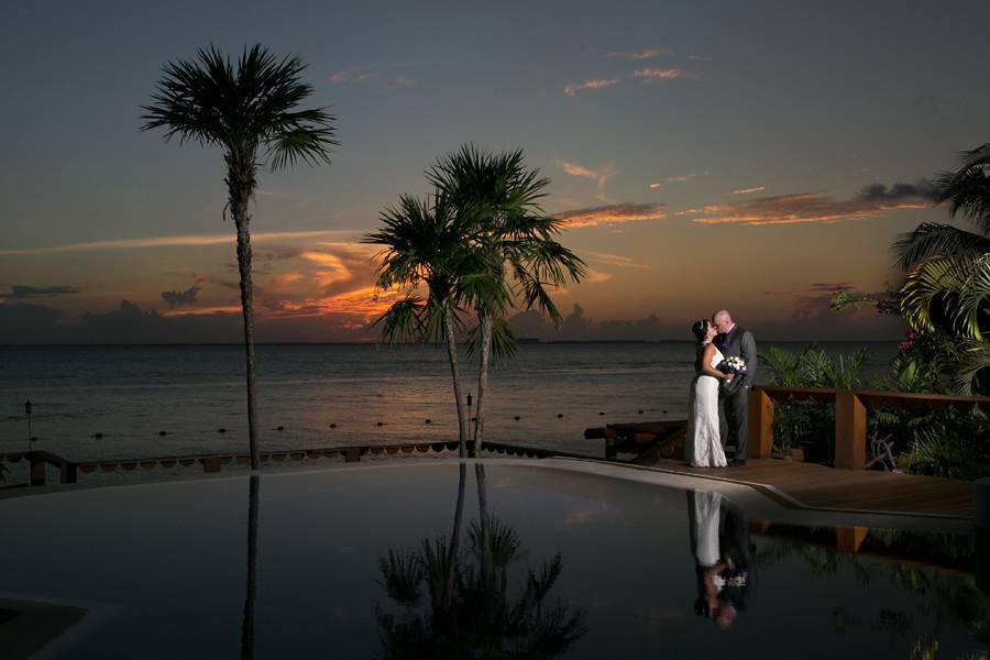 Susan Pacek Photography