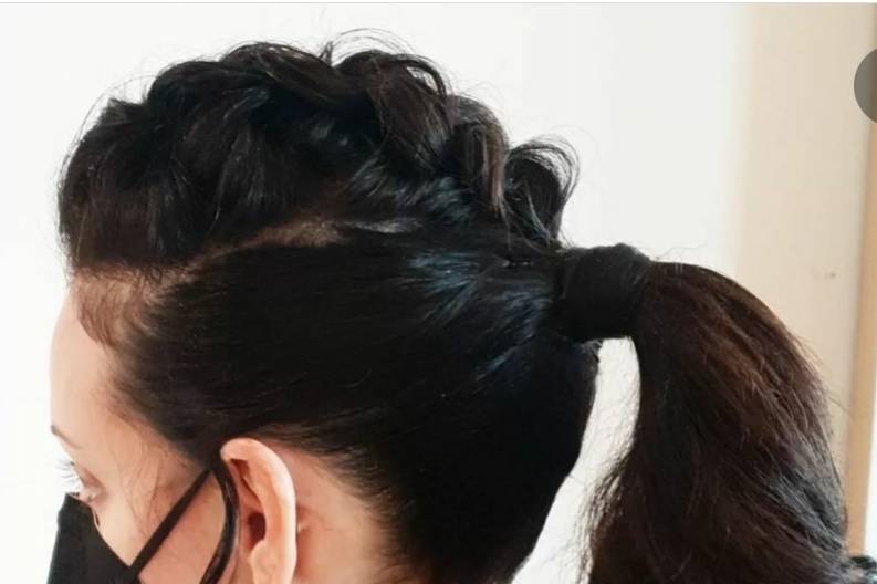 Luxe braid and ponytail
