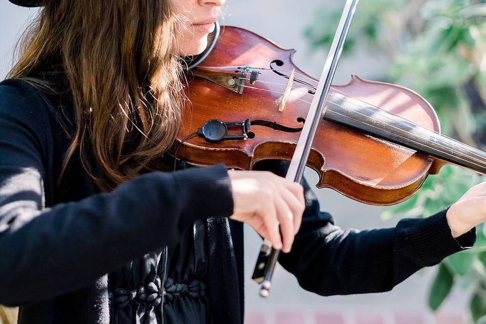 Ceremony Strings