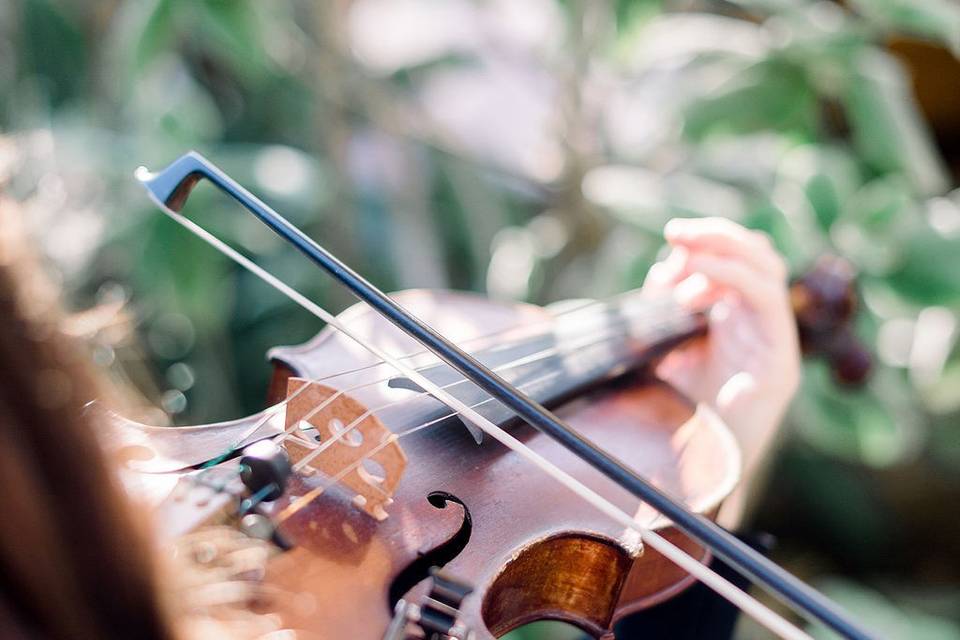 Ceremony Strings