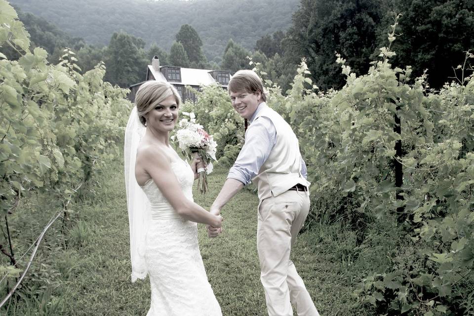 The Vineyards at Betty's Creek