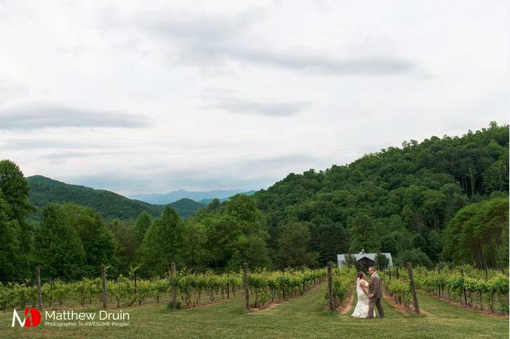 The Vineyards at Betty's Creek