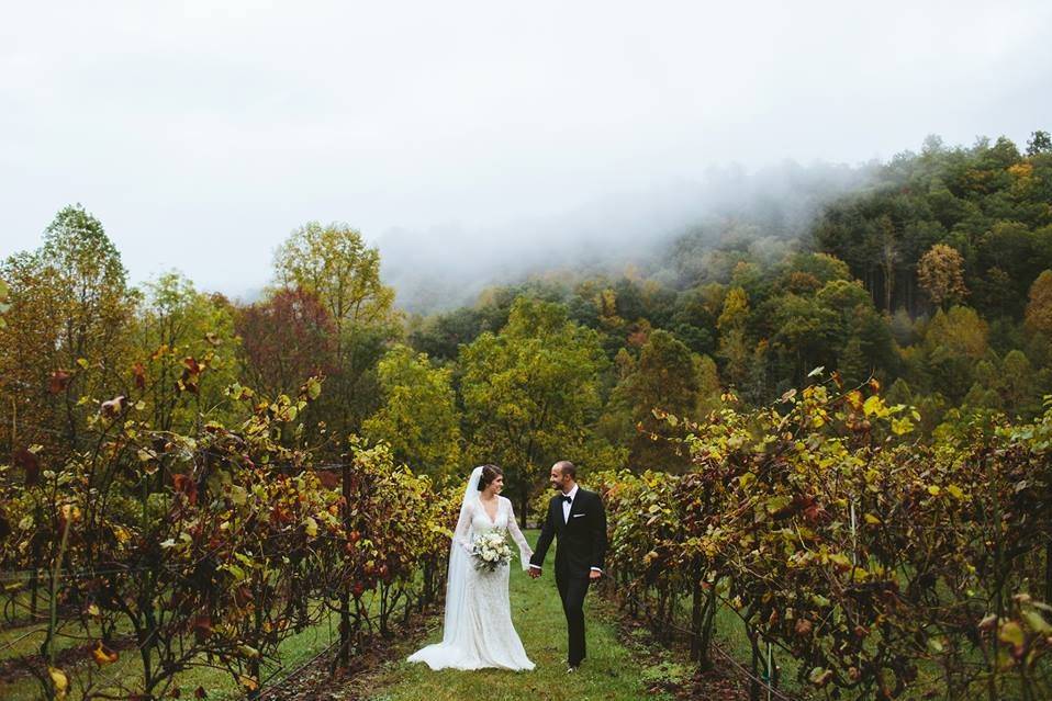 The Vineyards at Betty's Creek