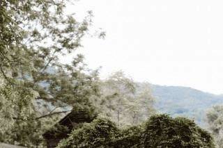 The Vineyards at Betty's Creek