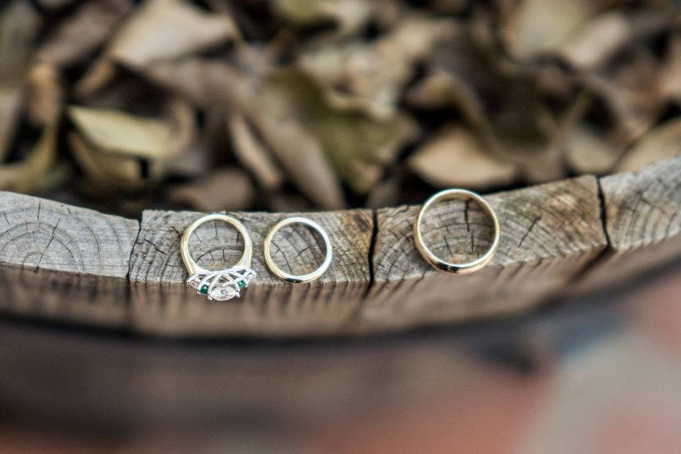 Wedding rings - Tracy L Marie Photography