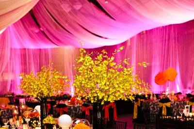 Amy Zaroff Events + Design